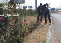 عملیات کاشت انواع گل های فصلی توسط شهرداری