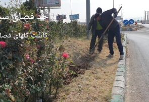 عملیات کاشت انواع گل های فصلی توسط شهرداری