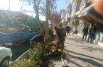 توجه ویژه شهرداری به فضای سبز و زیباسازی