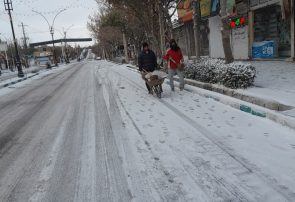عکس/ تلاش پاکبانان برای پاکسازی معابر برفی فاروج