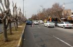 هرس درختان بلوار امام رضا توسط واحد سبز شهرداری