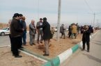 مراسم روز درختکاری در شهر فاروج  برگزار شد.