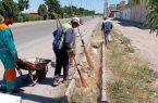 پاکسازی گسترده محله ۳۰ متری شهرک برق توسط کارگران خدمات شهری شهرداری فاروج