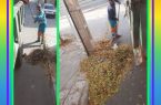 🍂 پاییز، فصل زیبایی و نظم شهری 🍂